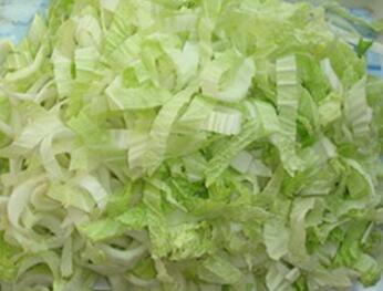 STW-805葉菜類(lèi)切菜機(jī)配圖2